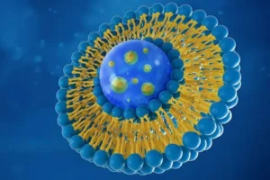 Oncology Innovative Products