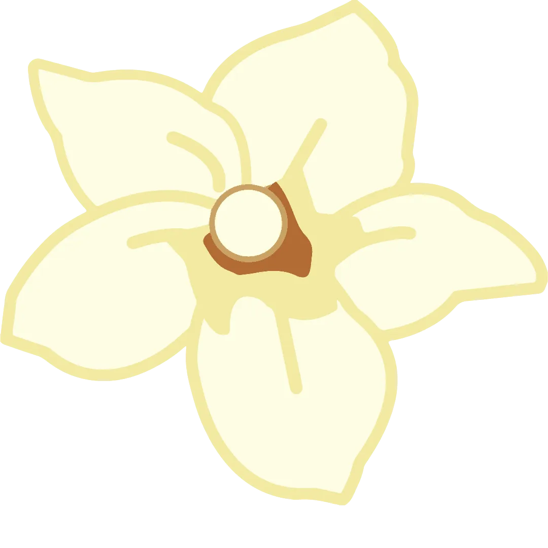 Vanilla Flavour